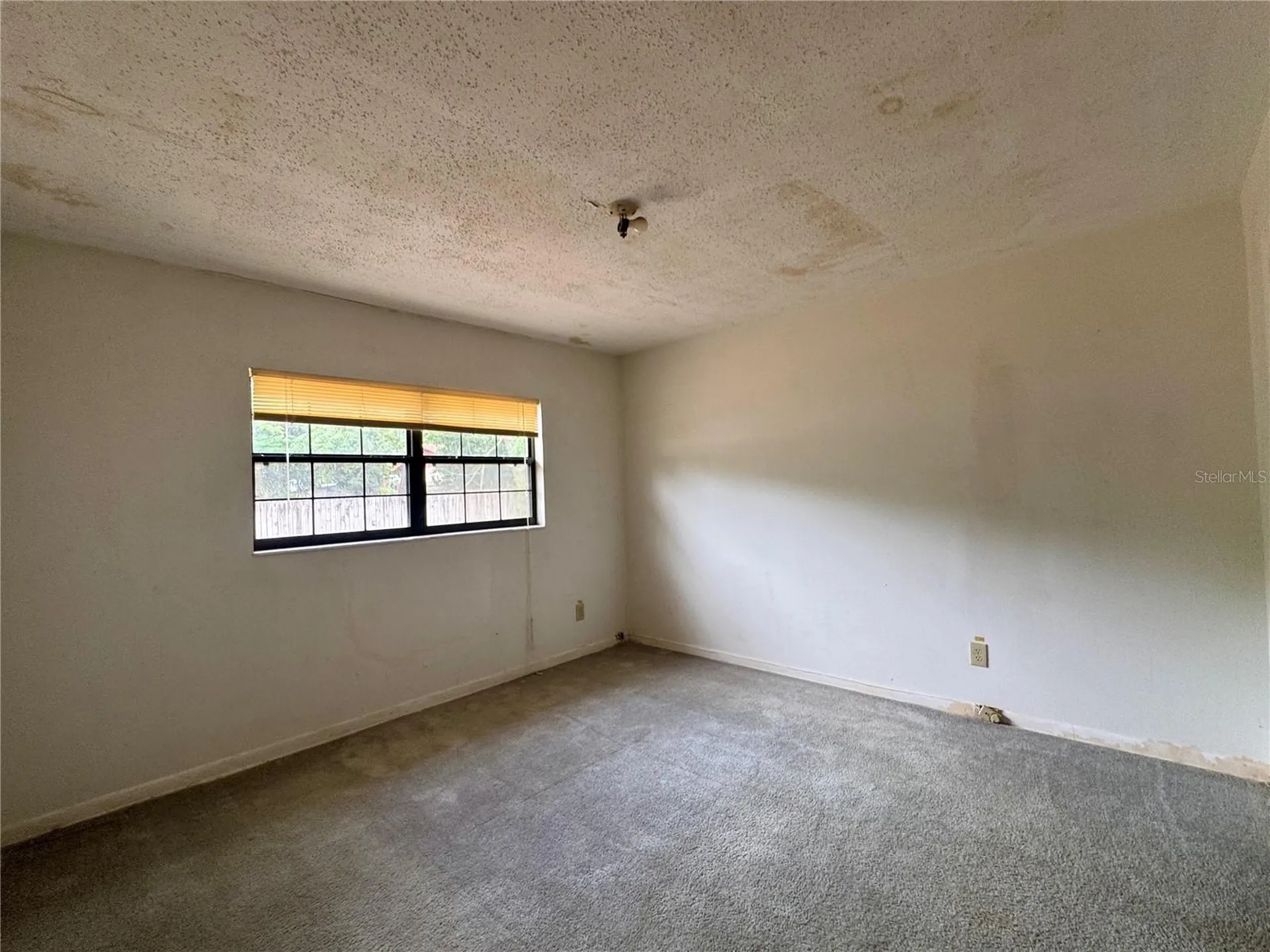 6347 Boxwood Street Brooksville FL 34602