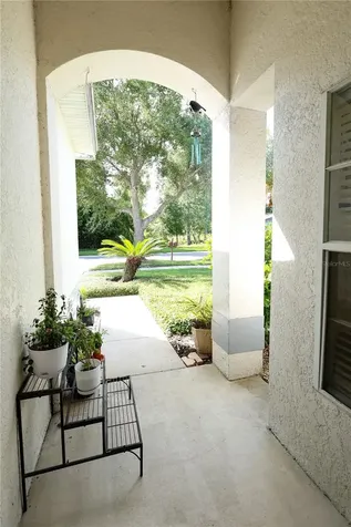 19019 Callaway Court Tampa FL 33647