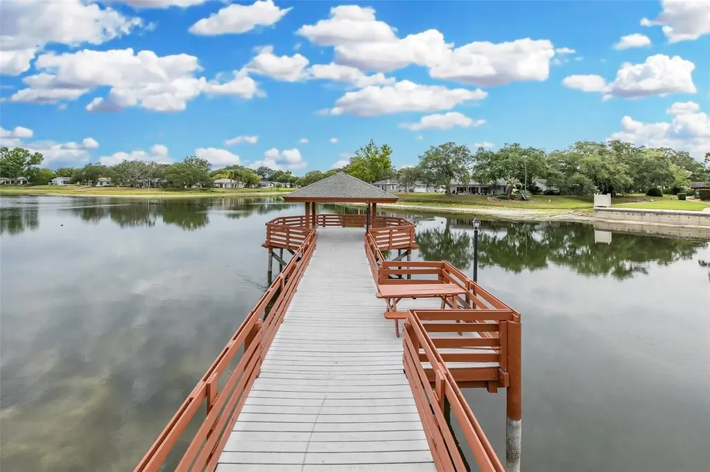 8225 San Felipe Court Port Richey FL 34668
