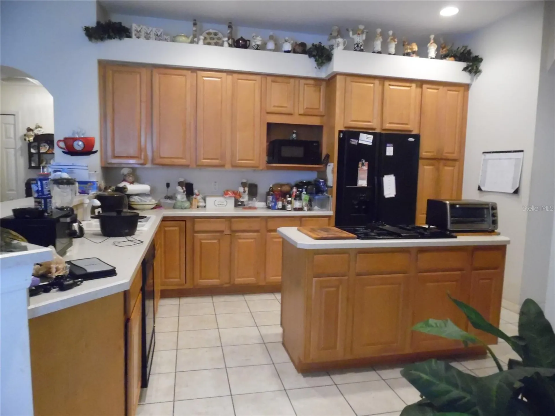 4841 Glen Coe Street Leesburg FL 34748