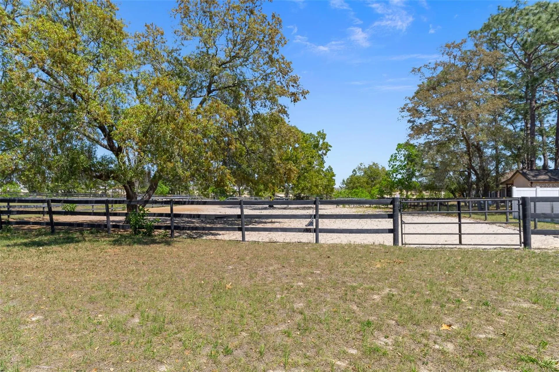 3450 Gretna Drive Spring Hill FL 34609