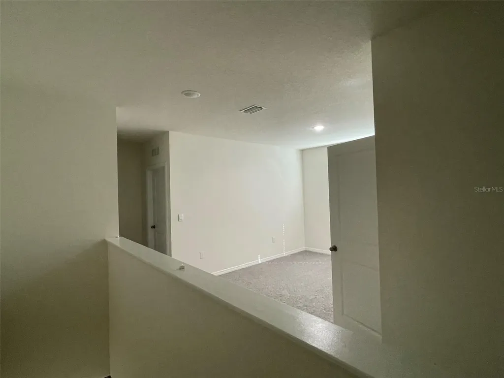 15596 Black Pepper Lane Odessa FL 33556