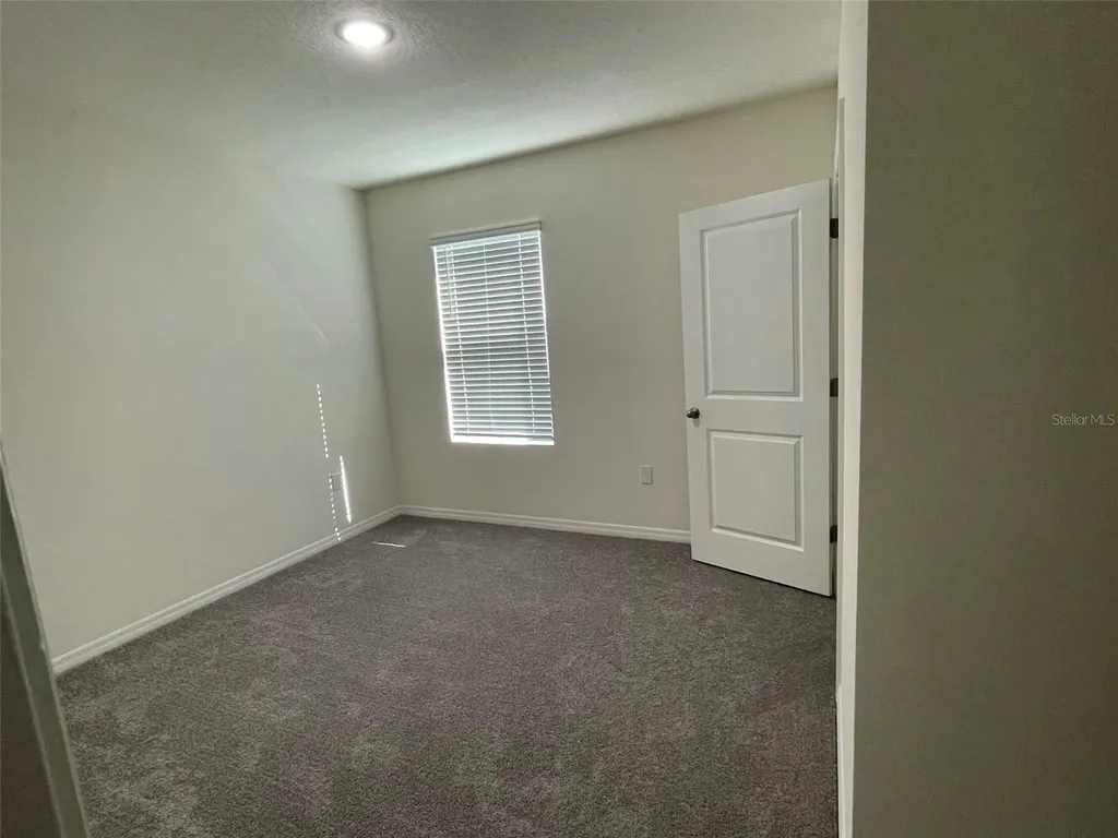 15596 Black Pepper Lane Odessa FL 33556