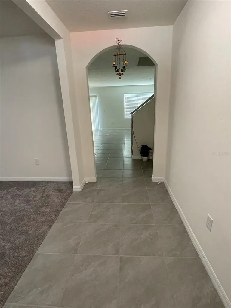 15596 Black Pepper Lane Odessa FL 33556