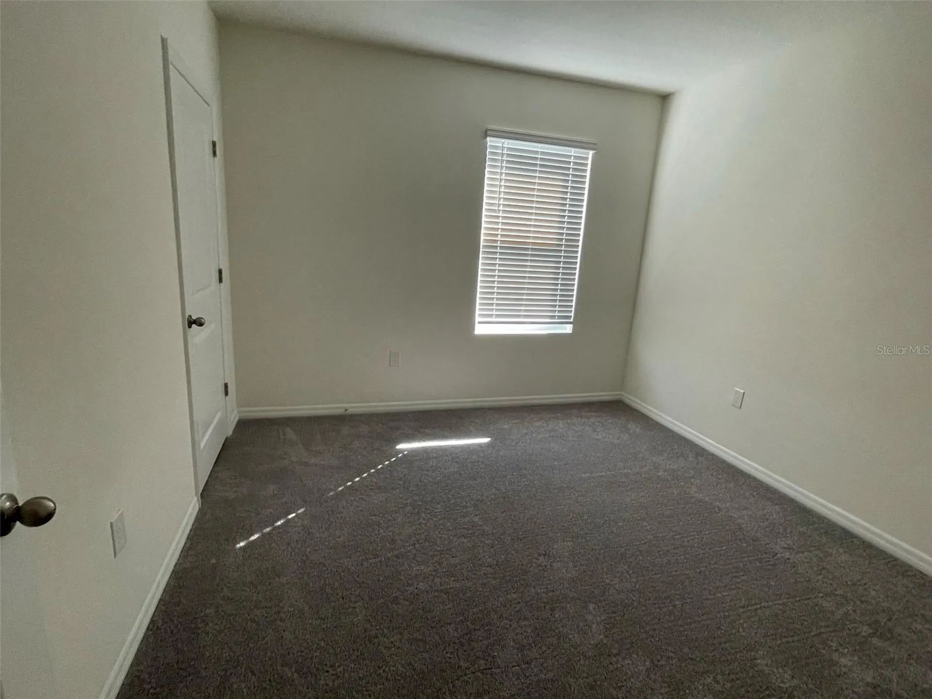 15596 Black Pepper Lane Odessa FL 33556