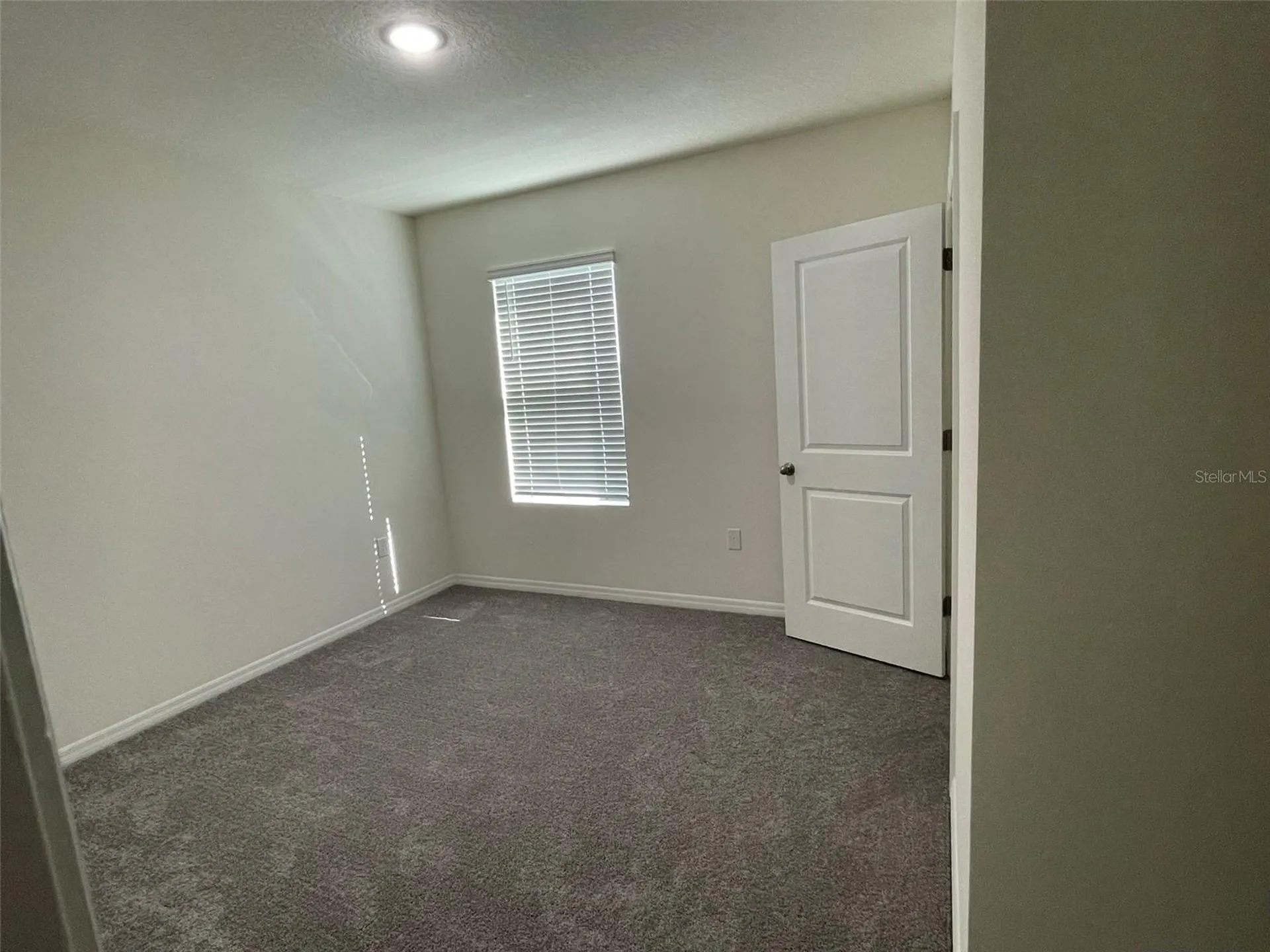 15596 Black Pepper Lane Odessa FL 33556