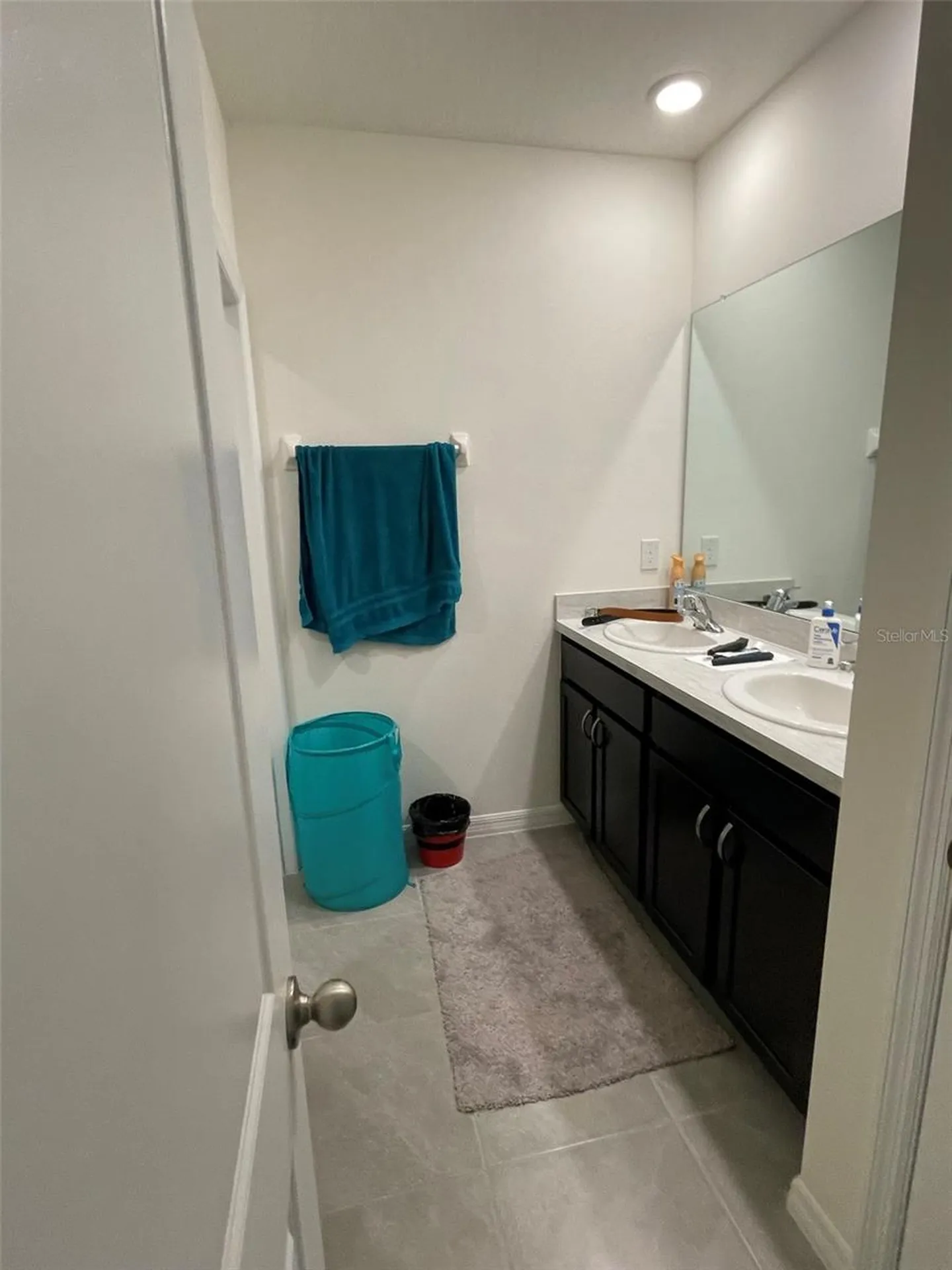 15596 Black Pepper Lane Odessa FL 33556