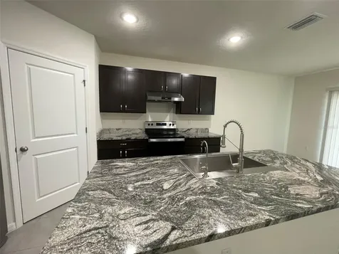 15596 Black Pepper Lane Odessa FL 33556