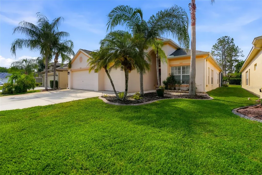 23908 Hastings Way Land O Lakes FL 34639