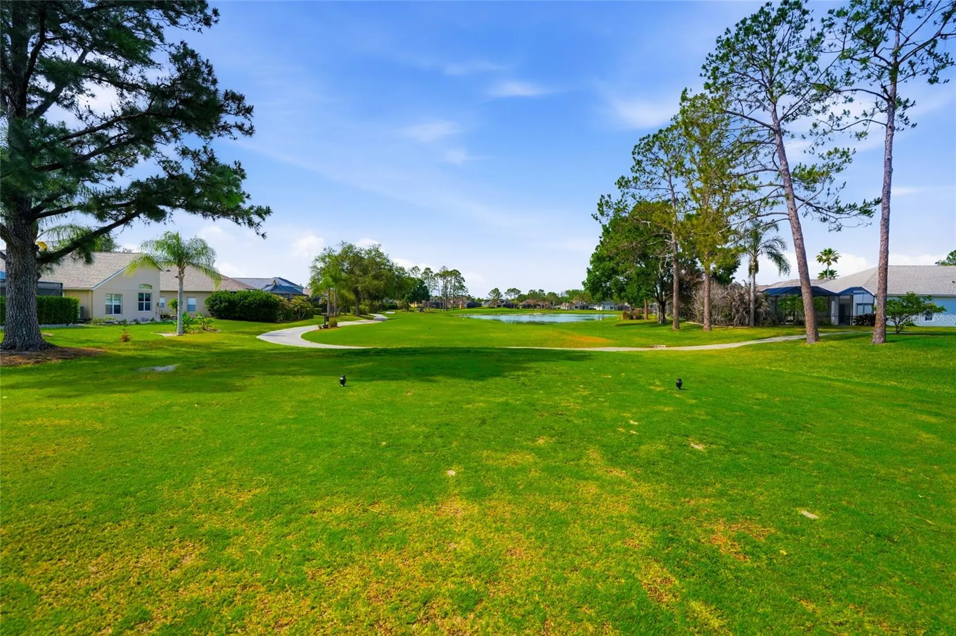 23908 Hastings Way Land O Lakes FL 34639
