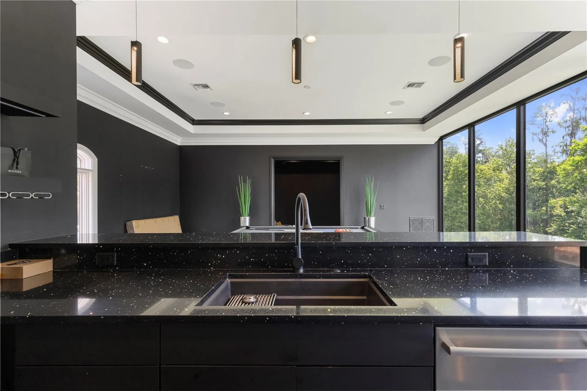 216 Lake Brant Drive Lutz FL 33548