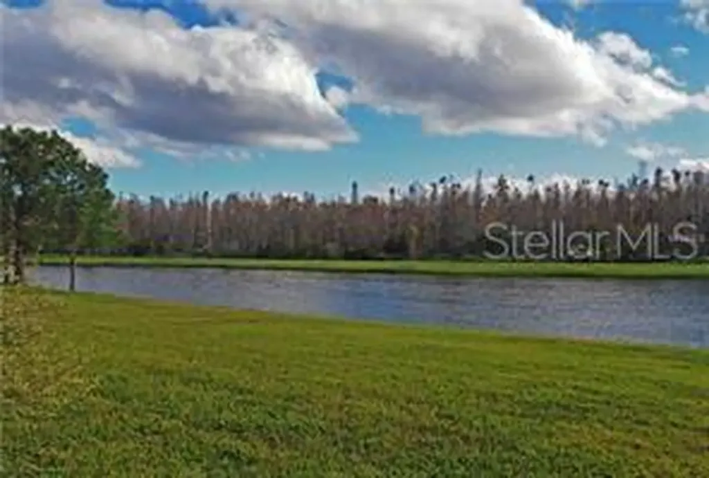 2950 Marshfield Preserve Way Kissimmee FL 34746