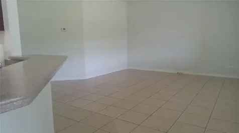 2950 Marshfield Preserve Way Kissimmee FL 34746