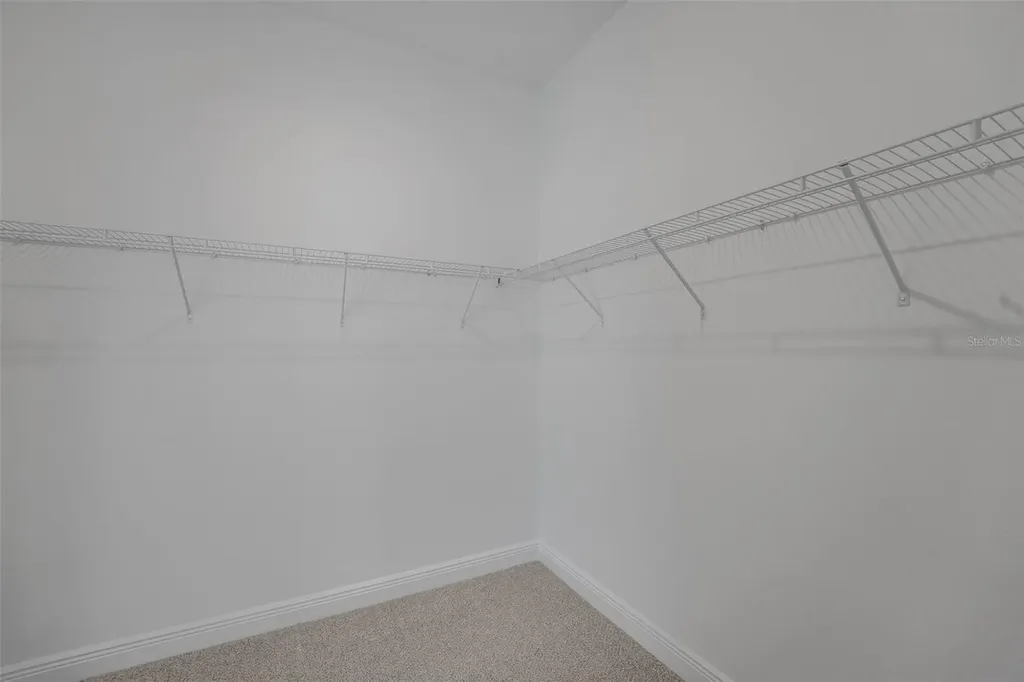 15136 Tea Tree Drive Winter Garden FL 34787