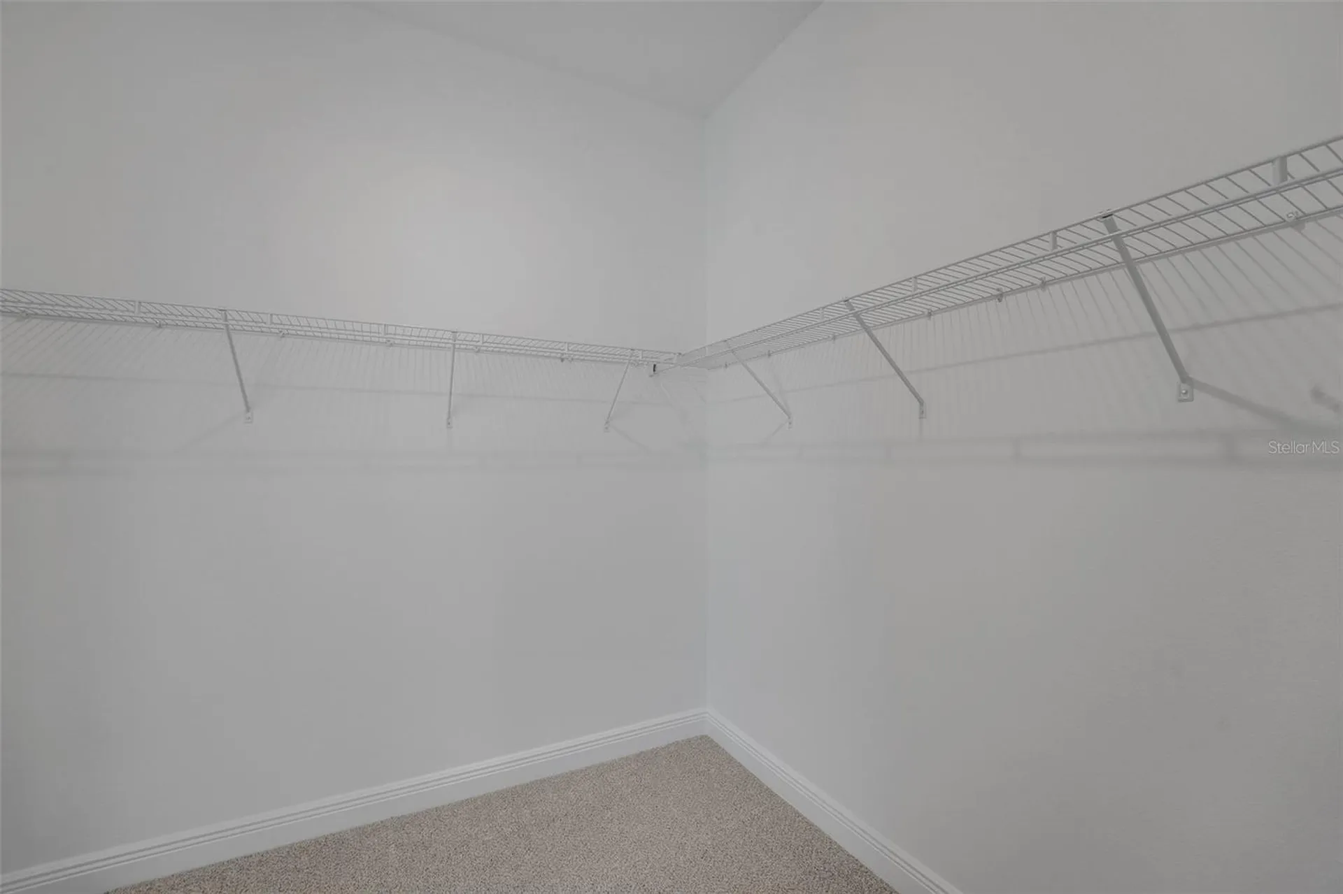 15136 Tea Tree Drive Winter Garden FL 34787