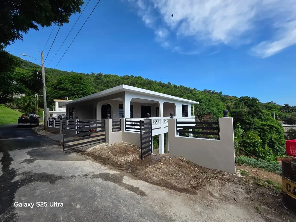290 Calle Ceiba Patillas PR 00723