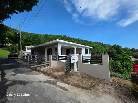 290 Calle Ceiba Patillas PR 00723