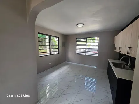 290 Calle Ceiba Patillas PR 00723
