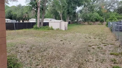 10608 N 50th Street Tampa FL 33617