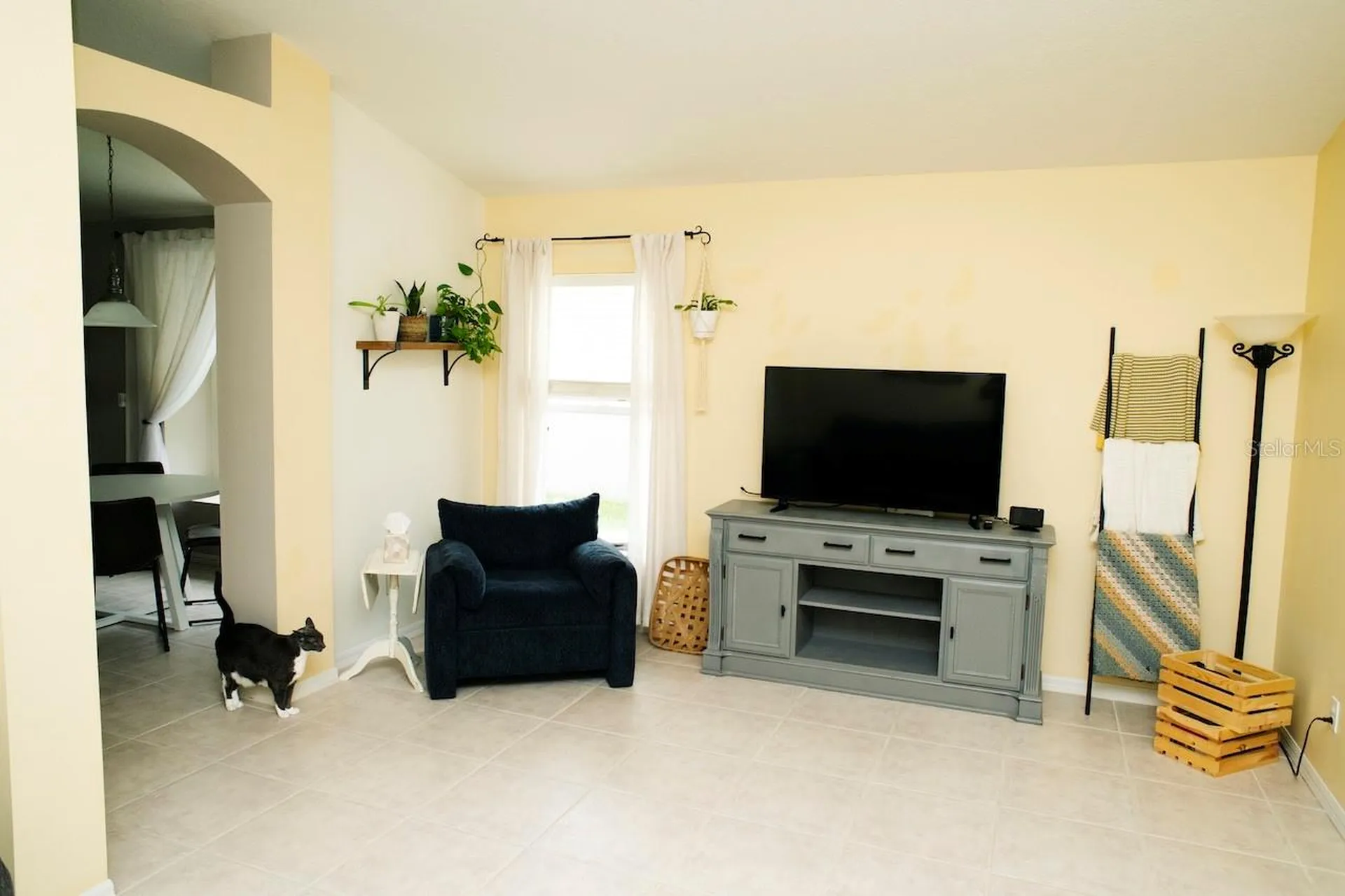 2508 Allwood Avenue Valrico FL 33596
