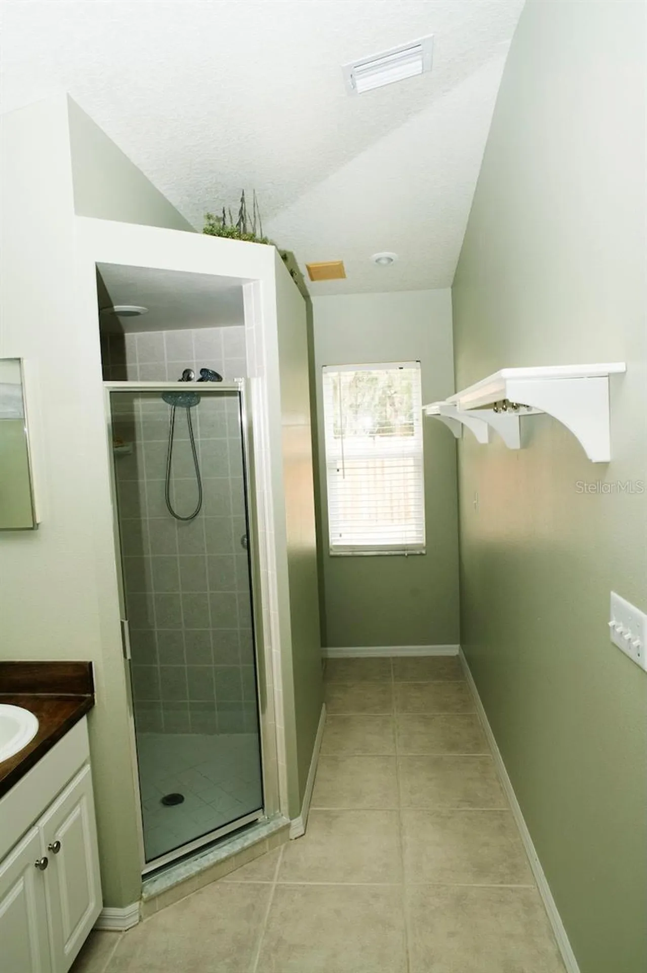 2508 Allwood Avenue Valrico FL 33596