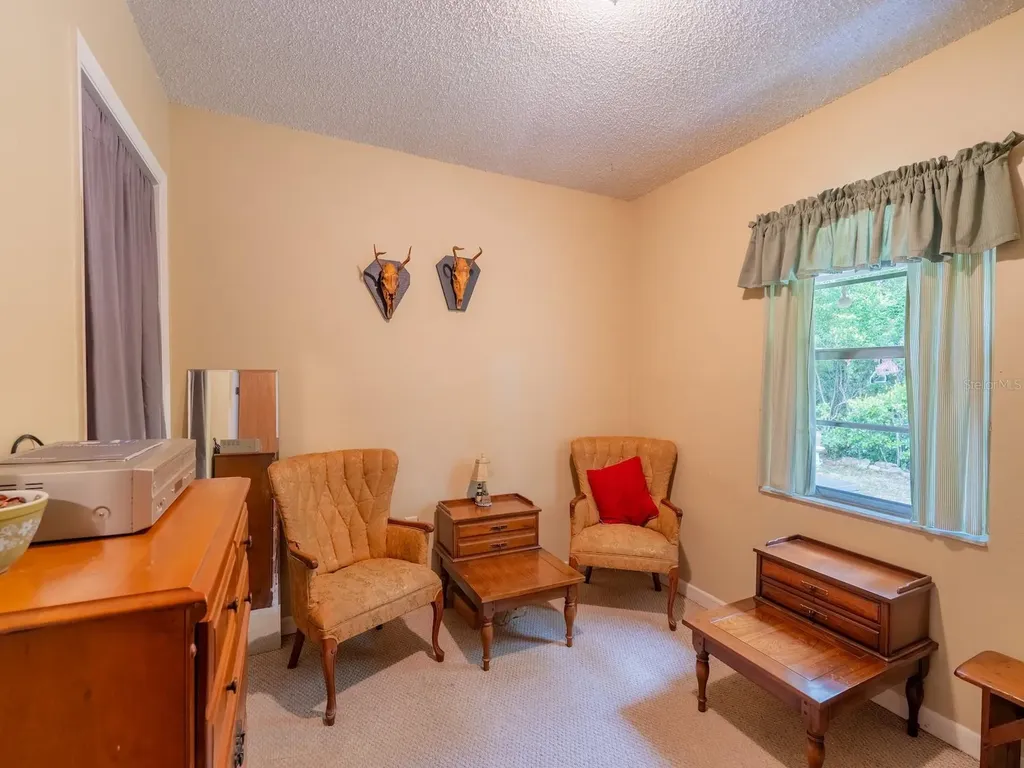 30070 NE 96th Street Fort Mc Coy FL 32134