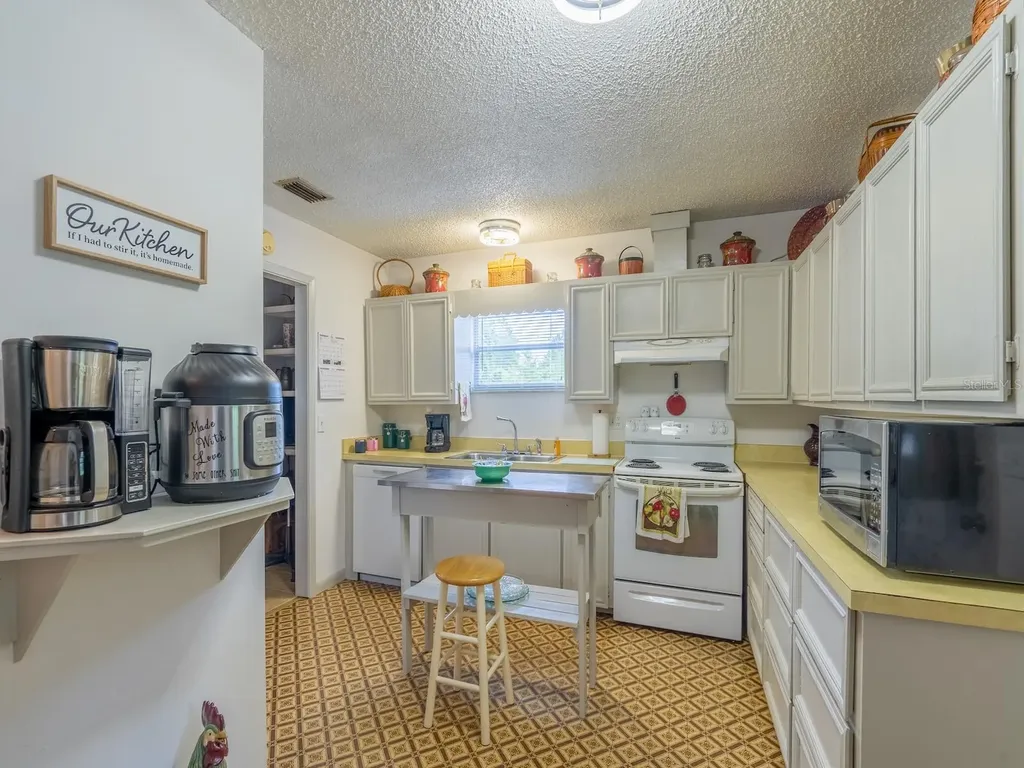 30070 NE 96th Street Fort Mc Coy FL 32134
