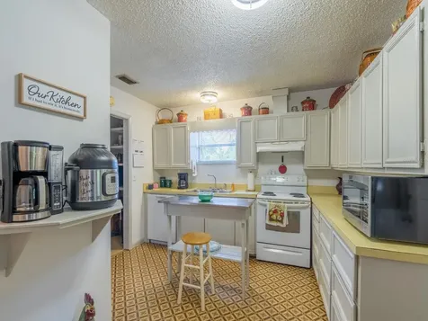 30070 NE 96th Street Fort Mc Coy FL 32134