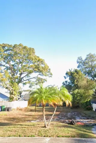 2725 N Ridgewood Avenue Tampa FL 33602