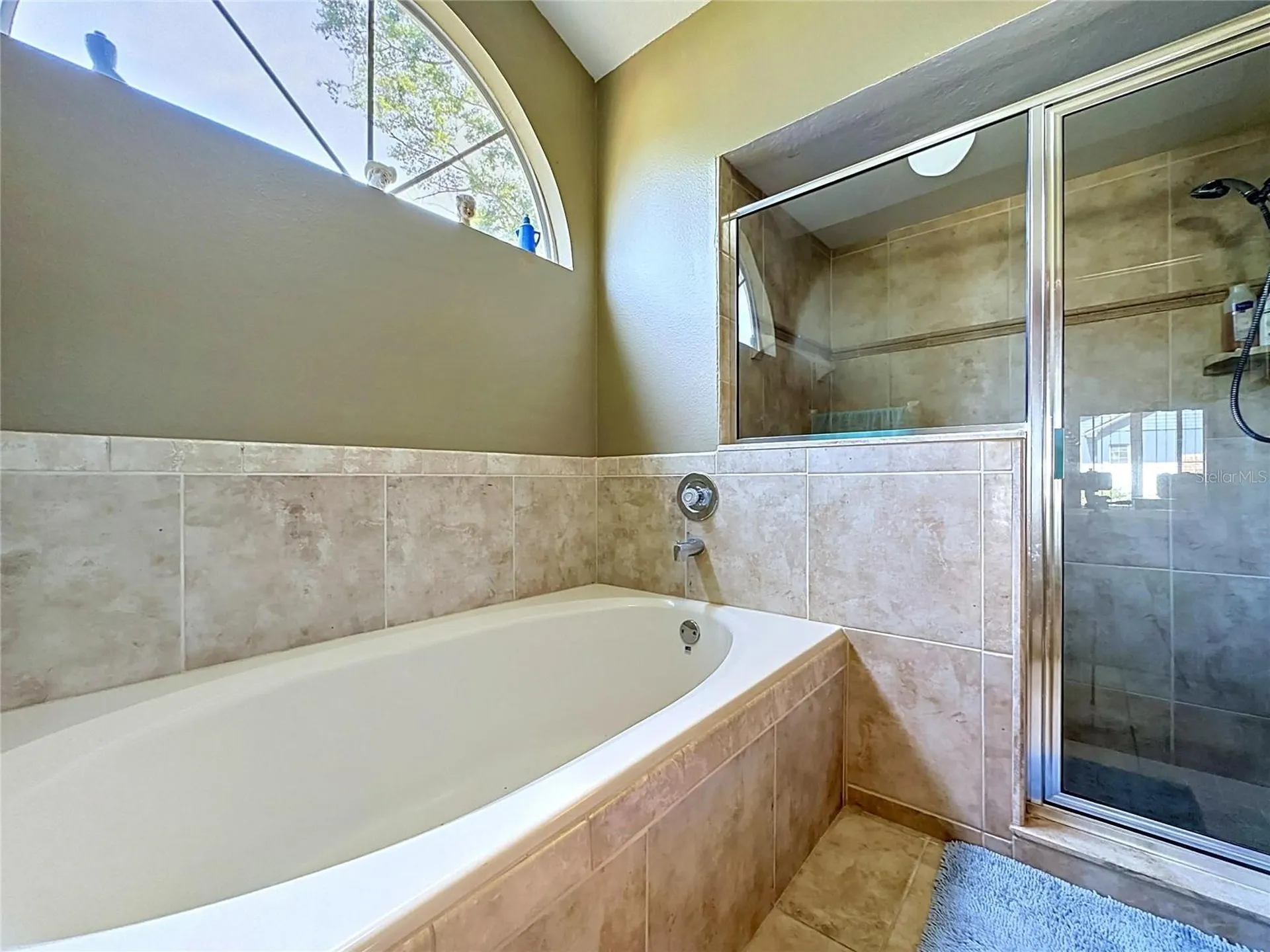 1681 E Spring Ridge Circle Winter Garden FL 34787