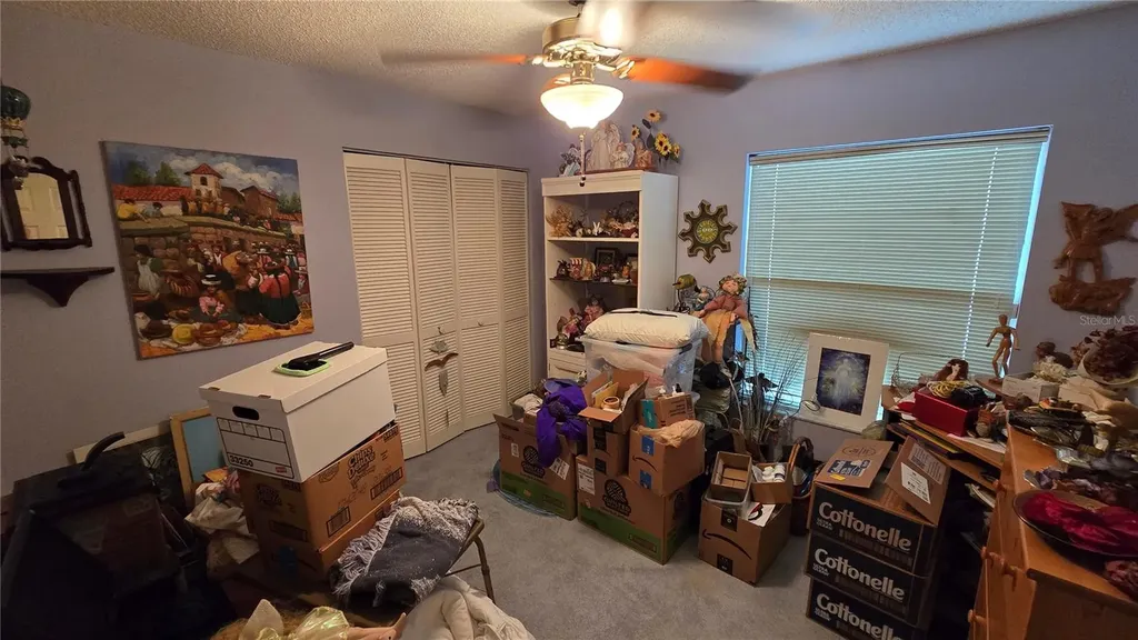1040 Tradewinds Drive Tarpon Springs FL 34689