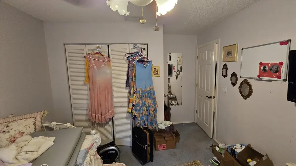 1040 Tradewinds Drive Tarpon Springs FL 34689