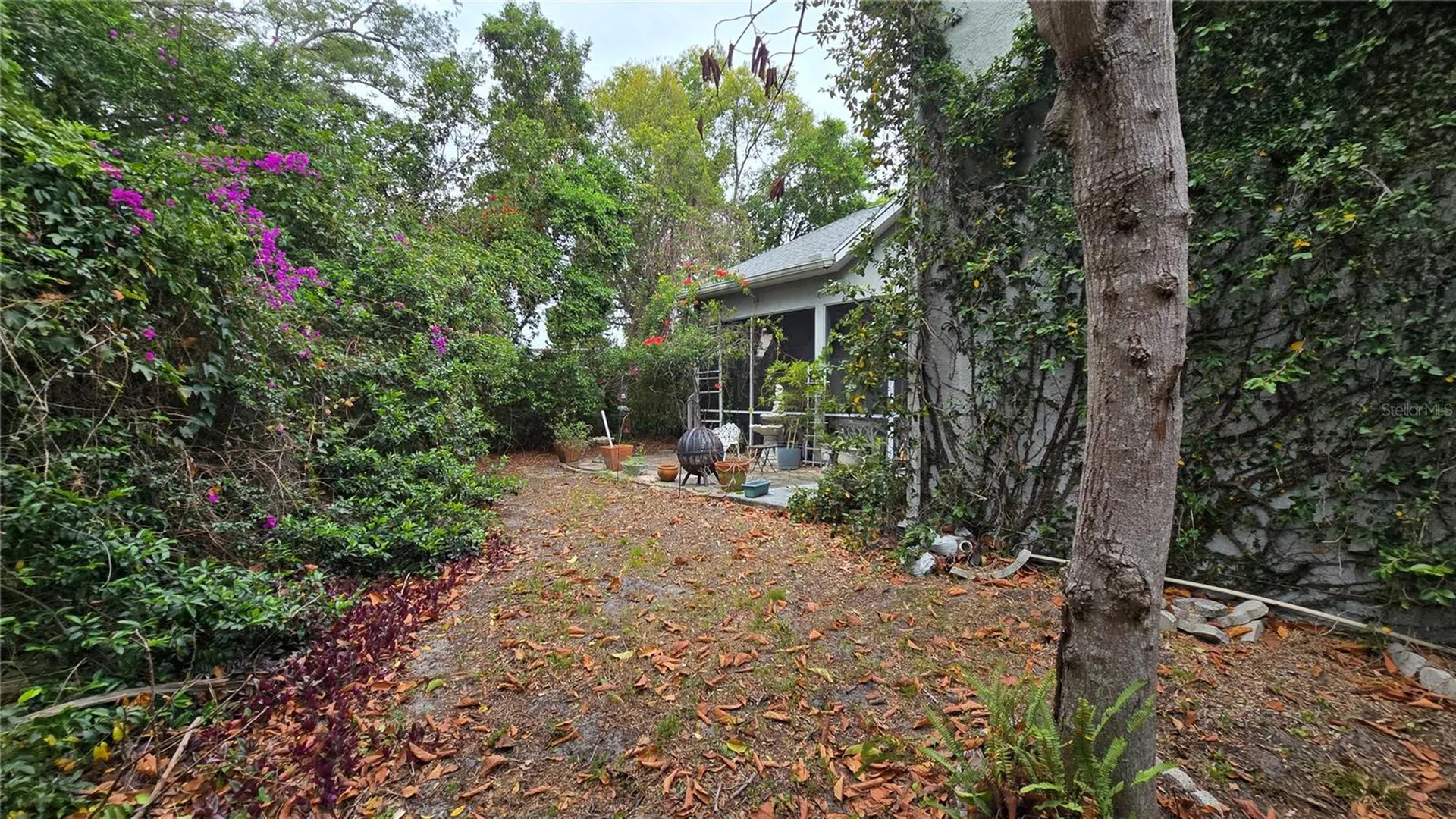 1040 Tradewinds Drive Tarpon Springs FL 34689