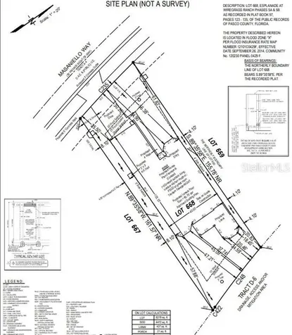 3888 Masaniello Way Wesley Chapel FL 33543