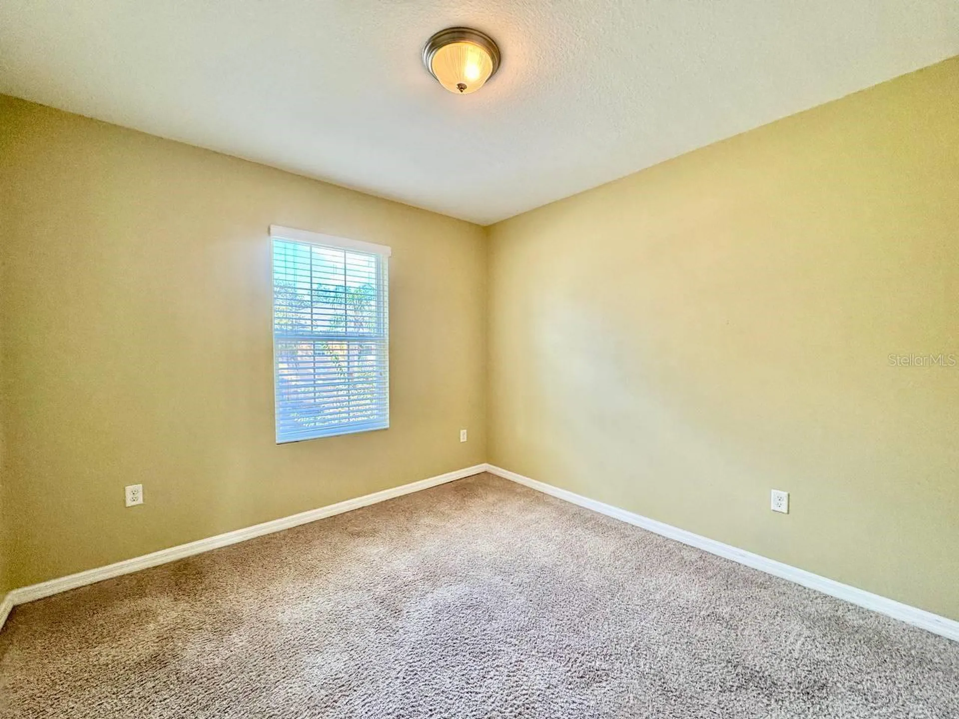 13955 Snapper Fin Lane Tampa FL 33637