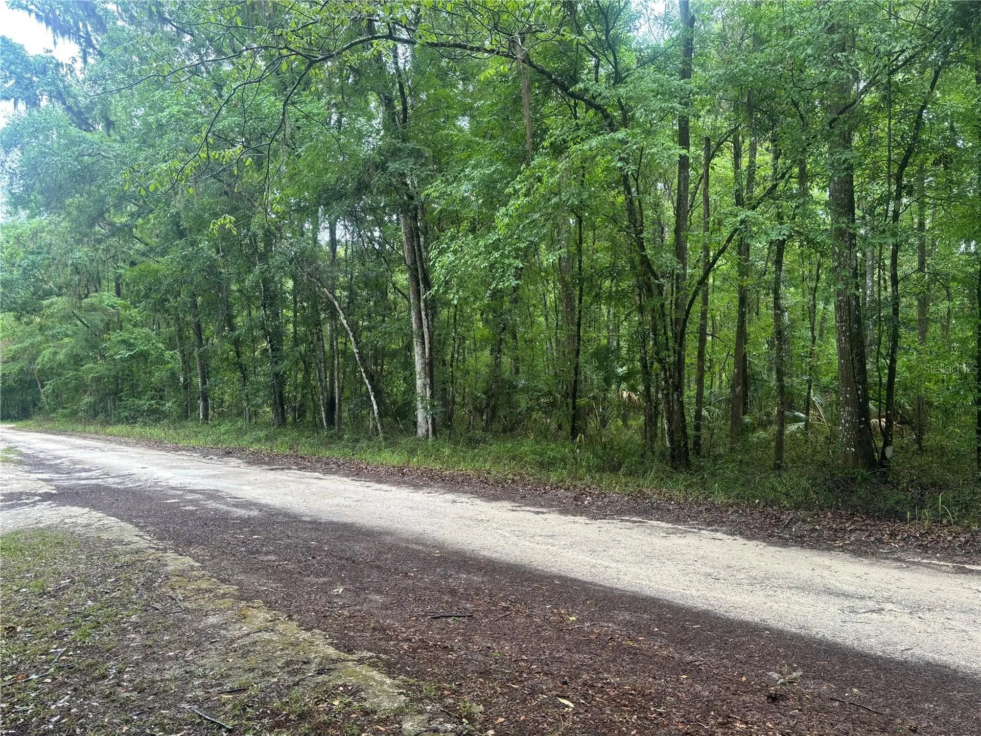 0000 SW 14th Place Ocala FL 34481