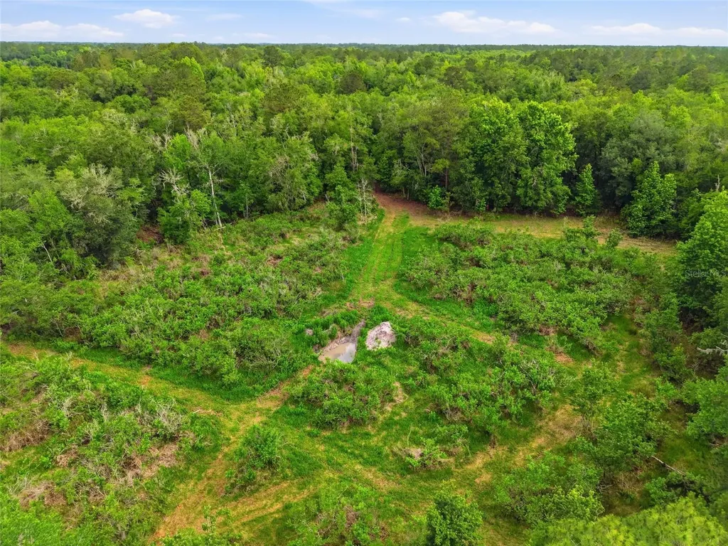 91ST Street Alachua FL 32615