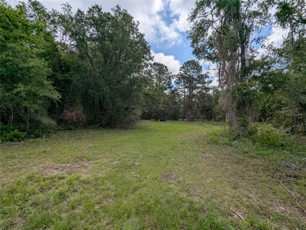 91ST Street Alachua FL 32615