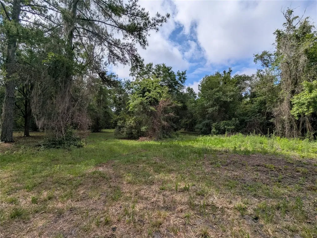 91ST Street Alachua FL 32615