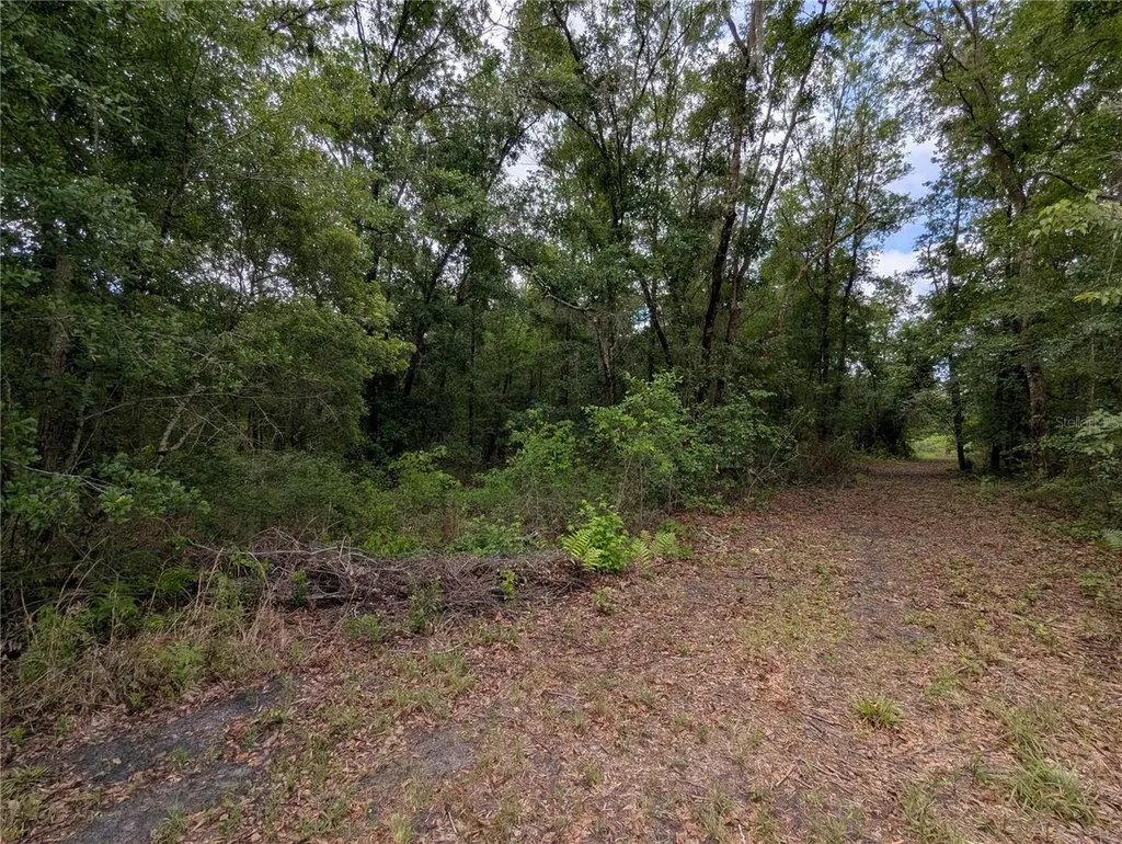 91ST Street Alachua FL 32615