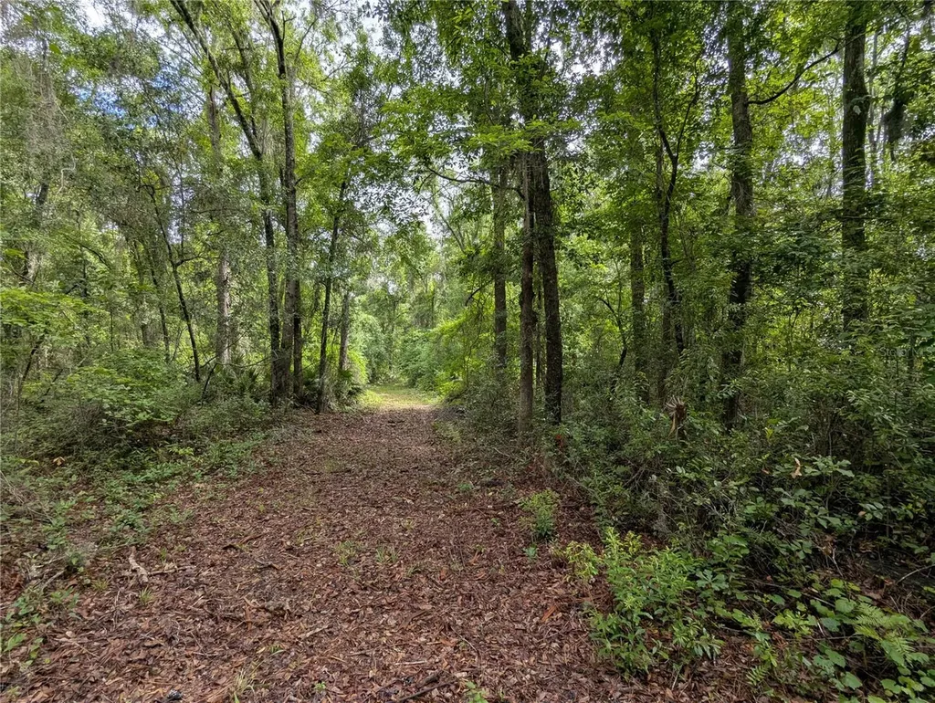 91ST Street Alachua FL 32615