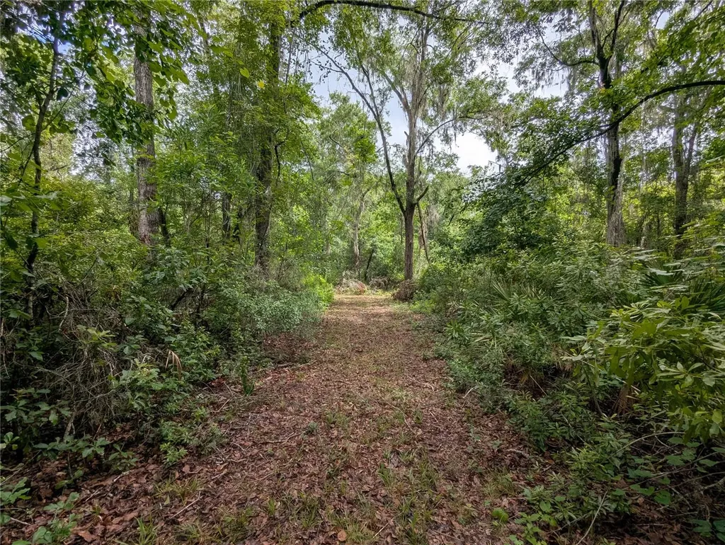 91ST Street Alachua FL 32615