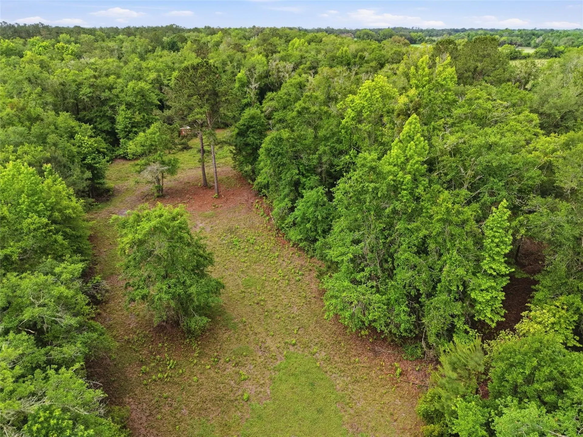 91ST Street Alachua FL 32615