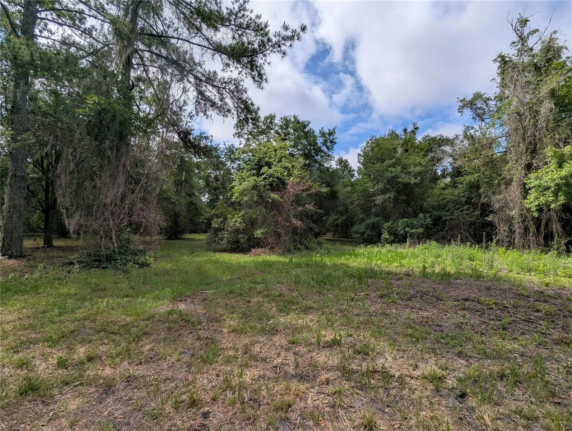 91ST Street Alachua FL 32615
