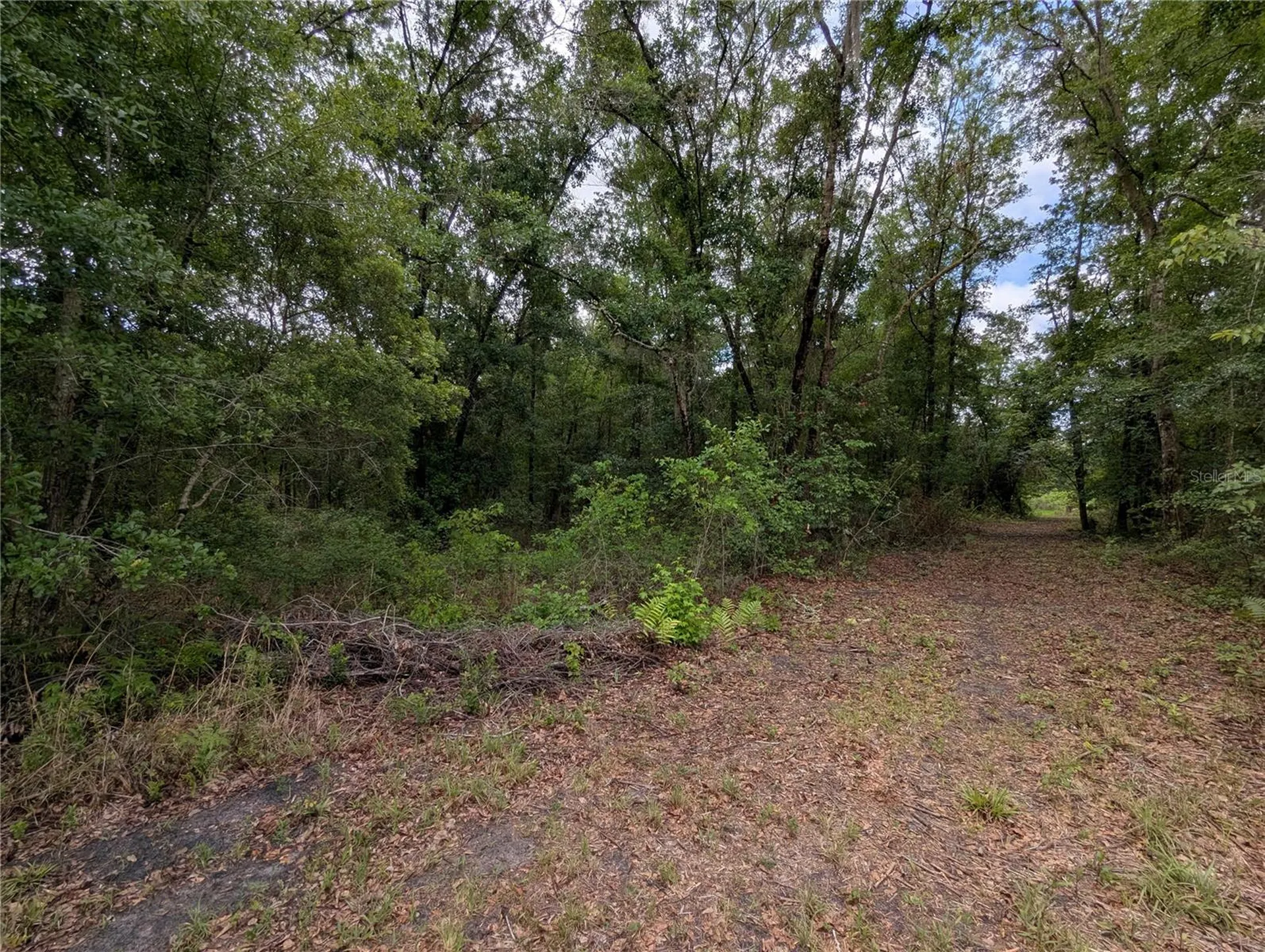 91ST Street Alachua FL 32615