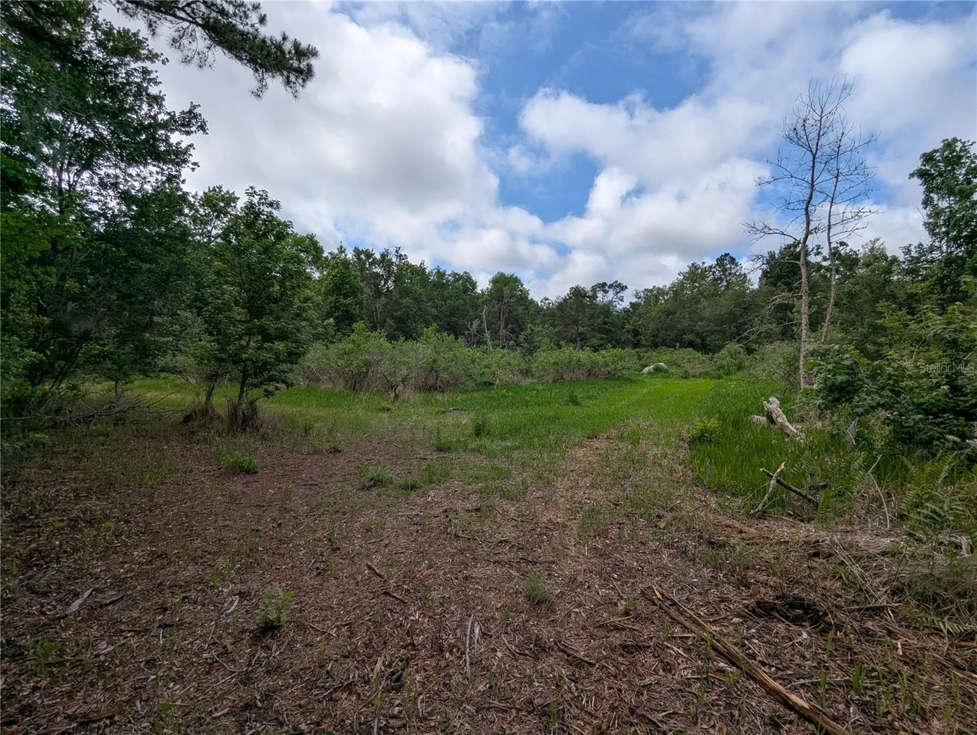 91ST Street Alachua FL 32615
