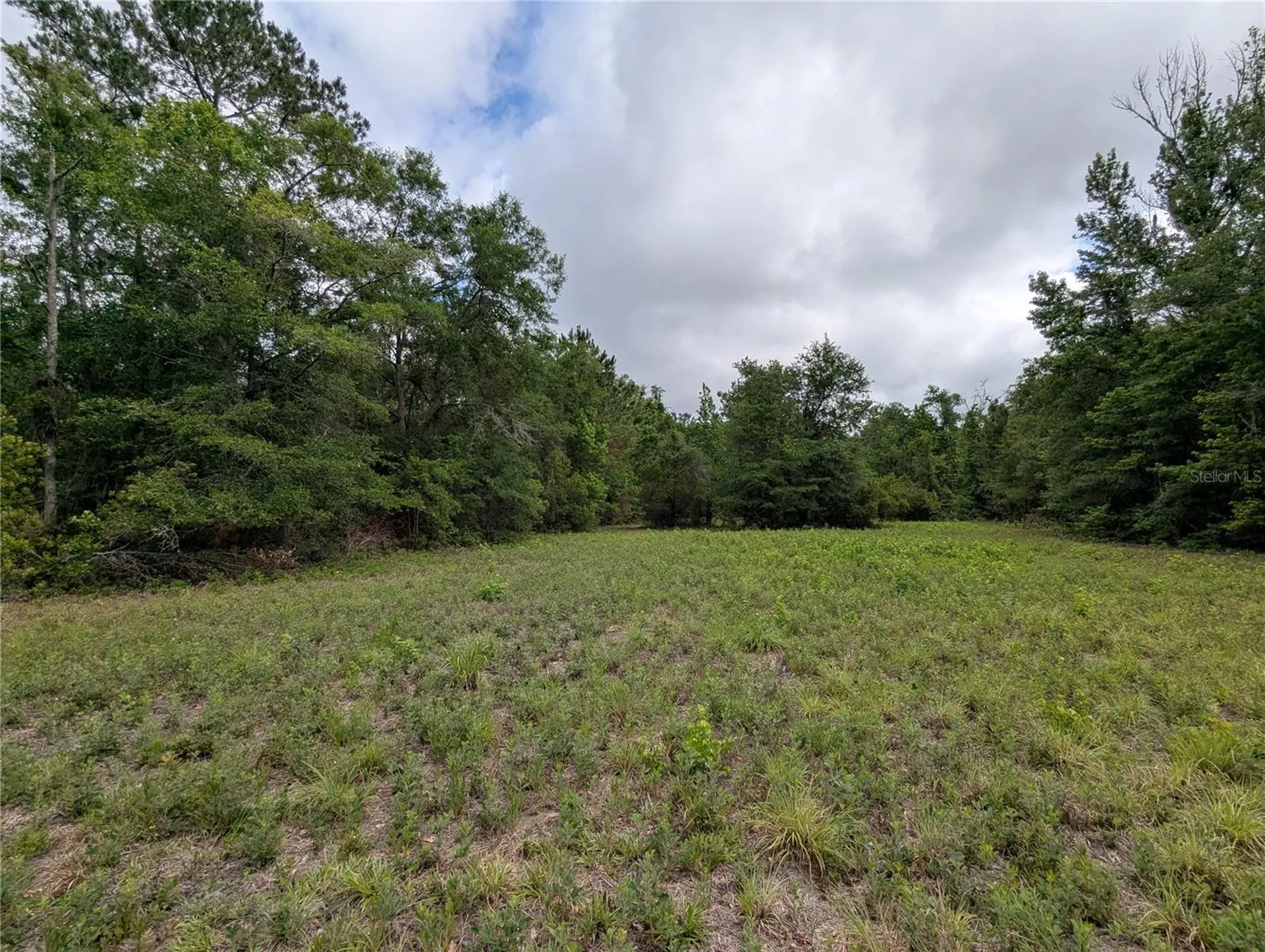 91ST Street Alachua FL 32615