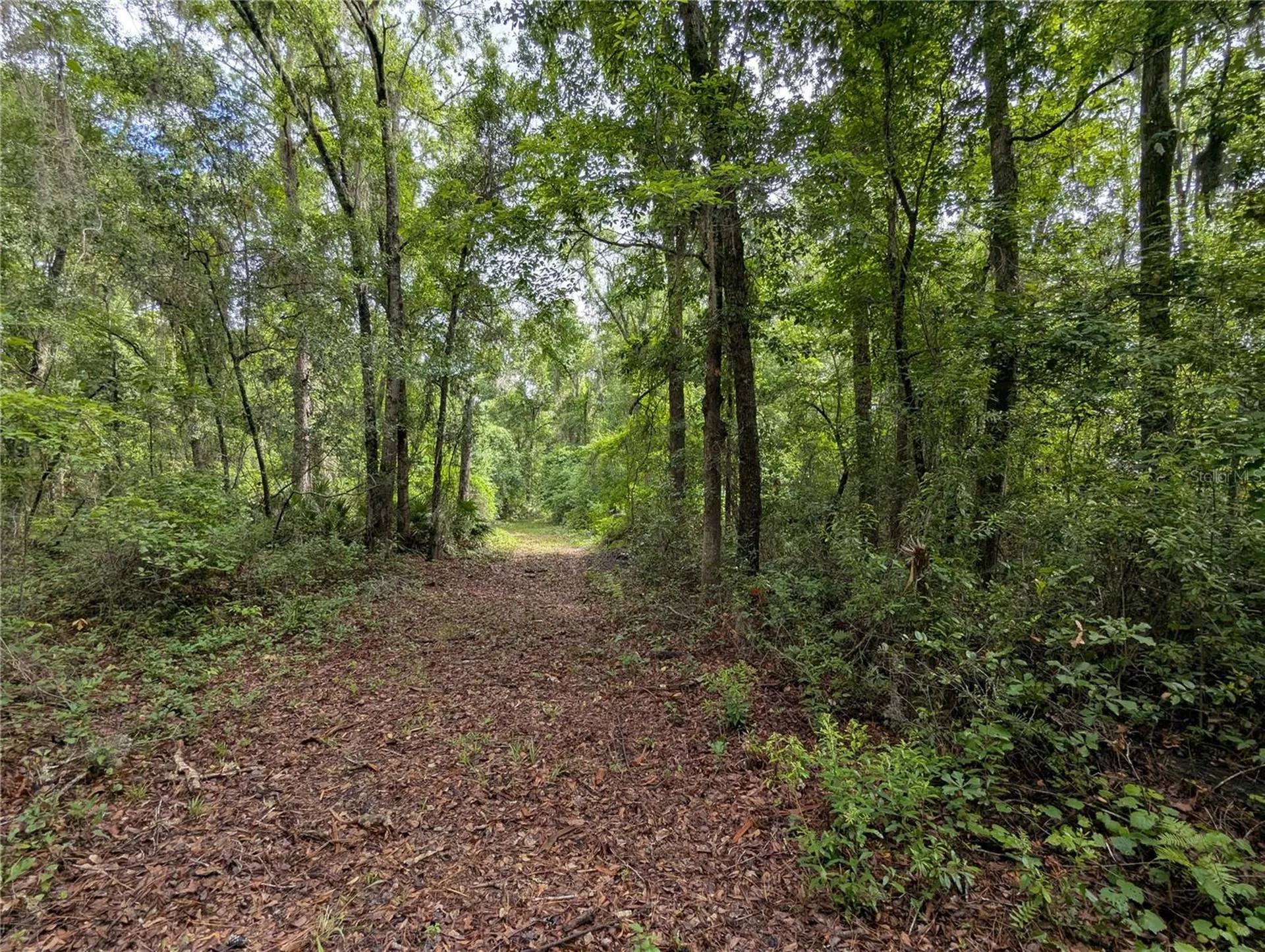 91ST Street Alachua FL 32615