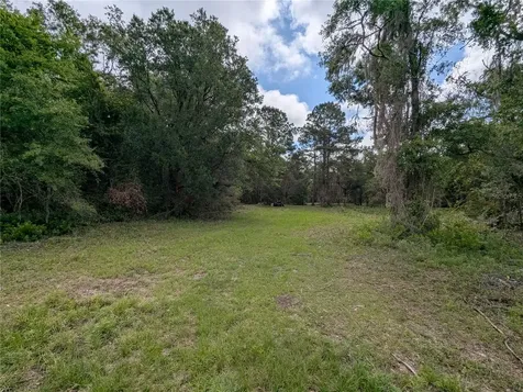 91ST Street Alachua FL 32615