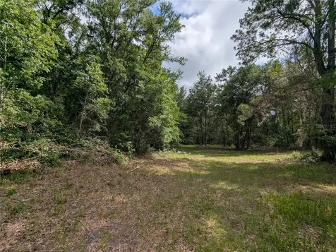 91ST Street Alachua FL 32615